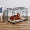 Double Door iCrate Metal Dog Crate, 42"